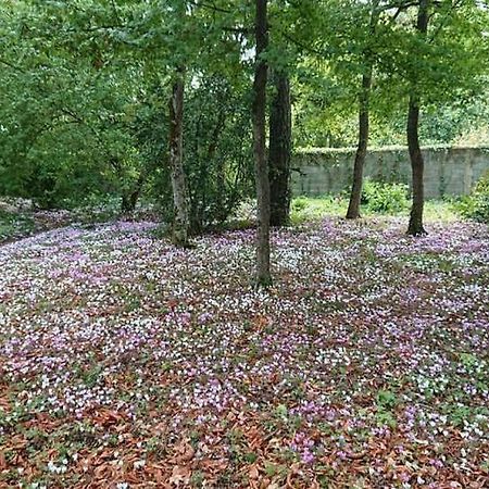 Готель Le Buisson Монлуї-сюр-Луар Екстер'єр фото