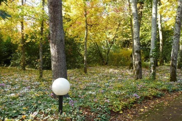 Готель Le Buisson Монлуї-сюр-Луар Екстер'єр фото